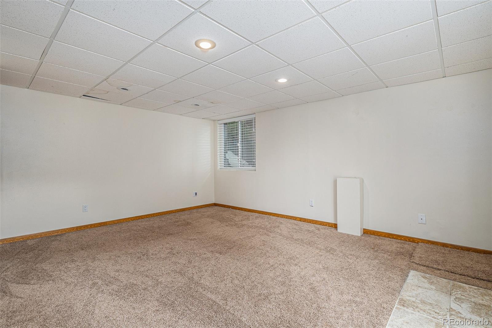 9546 High Cliffe Street Highlands Ranch, CO 80129 - Photo 19 of 45 Gallery Image 19