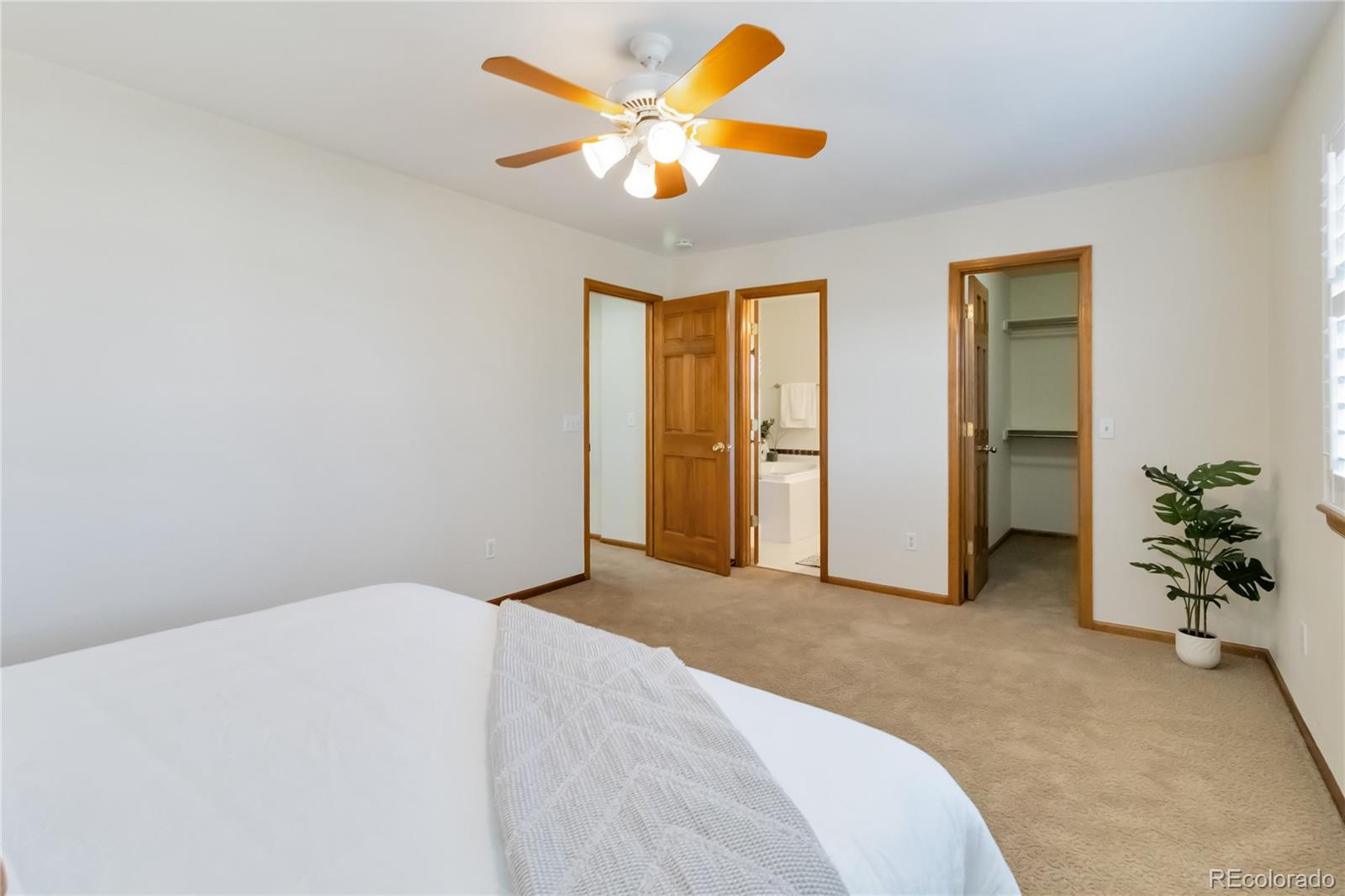 9546 High Cliffe Street Highlands Ranch, CO 80129 - Photo 10 of 45 Gallery Image 10