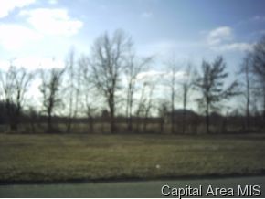 741 Big Bend Road Taylorville, IL 62568 - Photo 2 of 2 Gallery Image 2