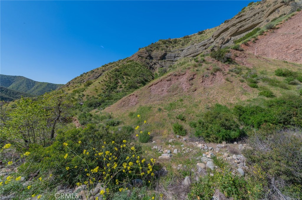 28741 Williams Canyon Road Silverado, CA 92676 - Photo 25 of 36