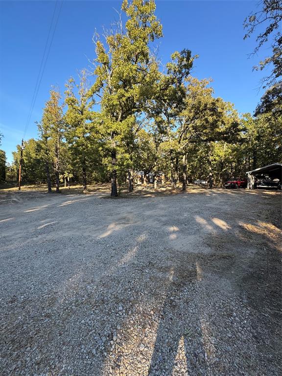 6171 Glen Oaks Road Mabank, TX 75156 - Photo 2 of 20 a view of a yard with a tree