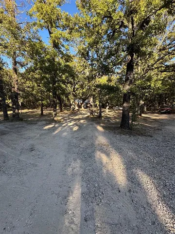 a view of dirt yard with a large tree