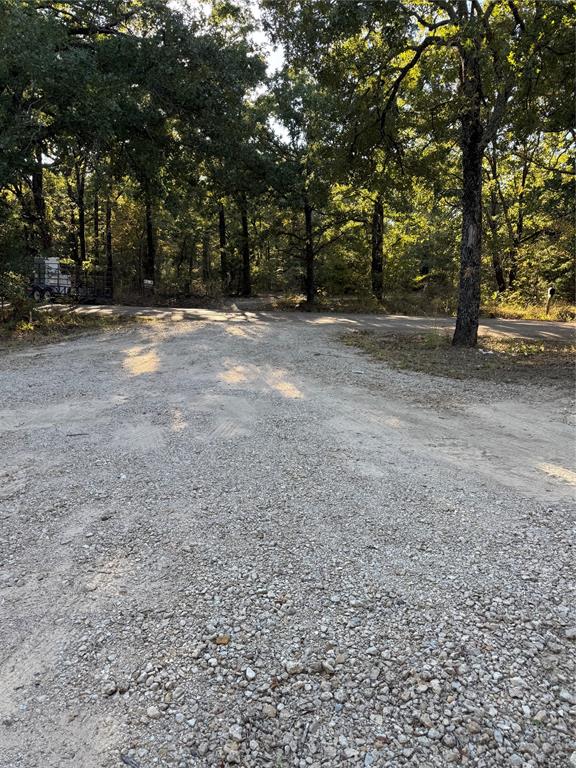 6171 Glen Oaks Road Mabank, TX 75156 - Photo 6 of 20 a view of outdoor space with trees