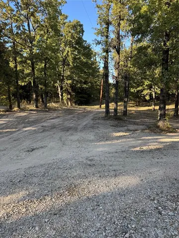 a view of a tree in the middle of a yard