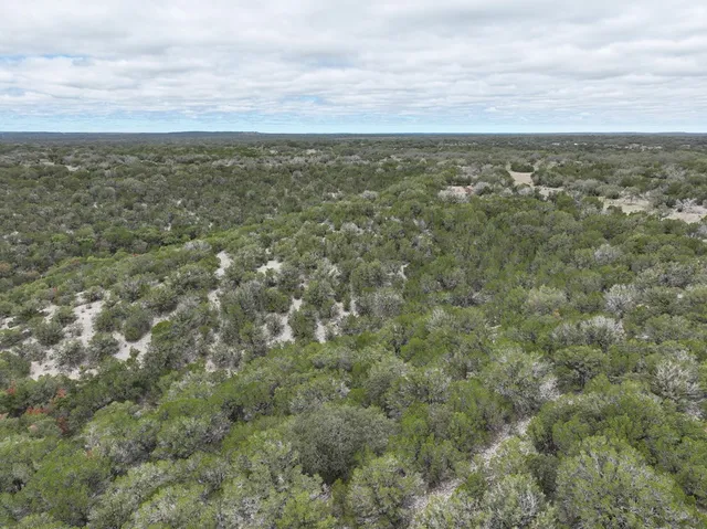 a view of a lake with a city