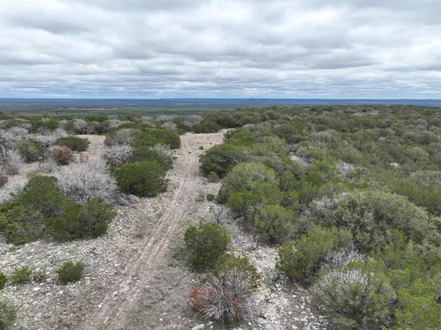 a view of a dry yard