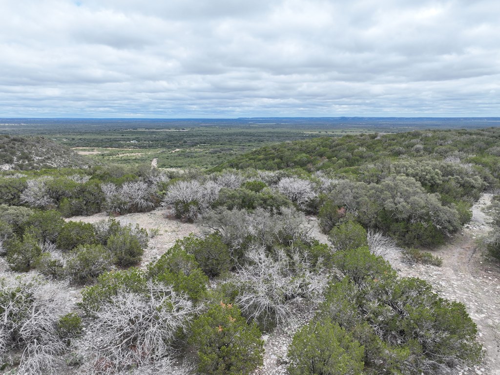 700 Hwy 377 Junction Junction, TX 76849 - Photo 16 of 71 a view of a field with lots of trees