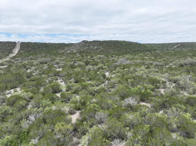 a view of a city with lush green forest