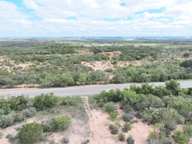 a view of a dry yard with trees