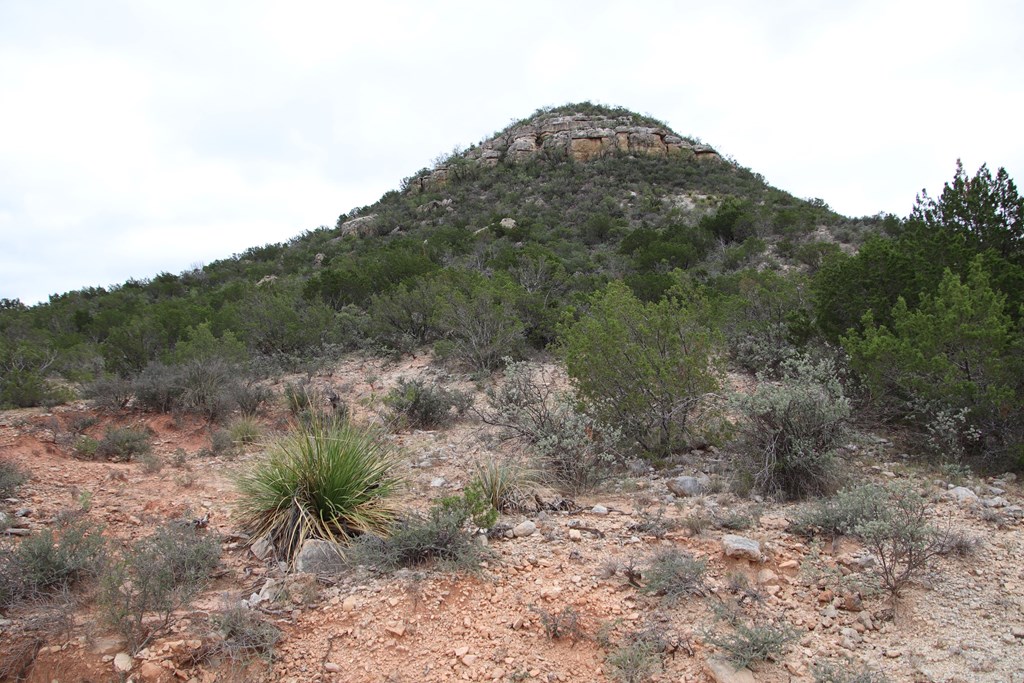 700 Hwy 377 Junction Junction, TX 76849 - Photo 23 of 71 a view of a dry yard
