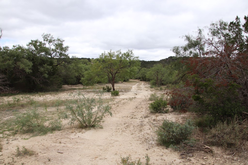 700 Hwy 377 Junction Junction, TX 76849 - Photo 30 of 71 a view of a dry yard with trees