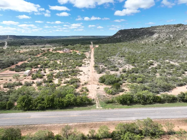 a view of a forest with a lush green forest