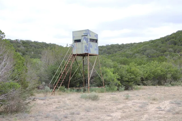 a view of a field with trees in the background