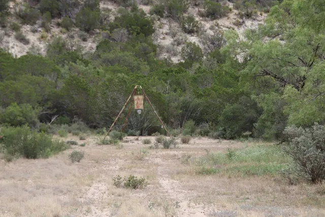 a view of a dry yard with trees