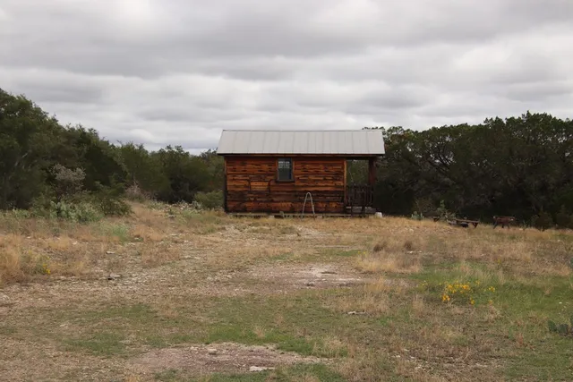 a view of a dry yard with trees