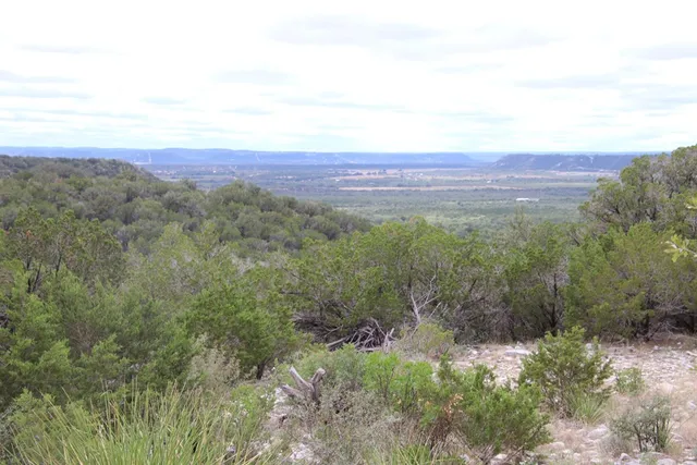 a view of a dry yard with trees