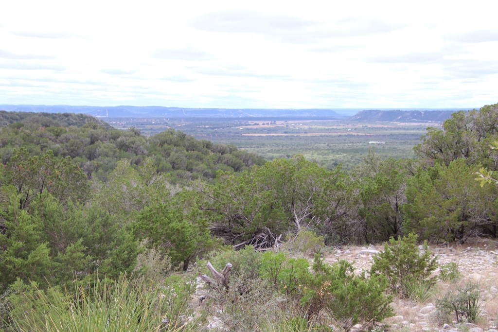 700 Hwy 377 Junction Junction, TX 76849 - Photo 37 of 71 a view of a lush green forest with lots of tall trees