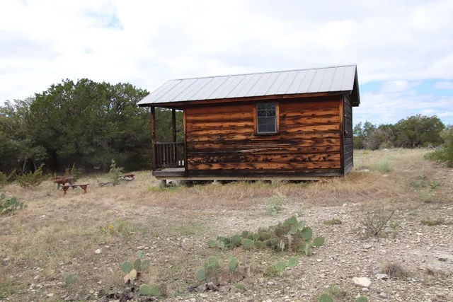 a view of a forest with trees in the background