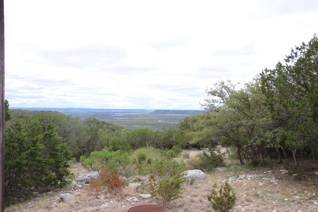 700 Hwy 377 Junction Junction, TX 76849 - Photo 40 of 71 a view of a forest with trees in the background