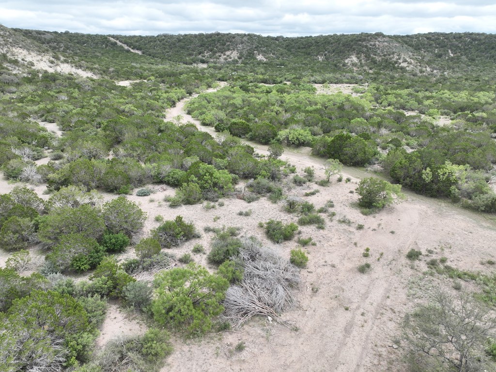 700 Hwy 377 Junction Junction, TX 76849 - Photo 4 of 71 a view of a forest with a lush green forest