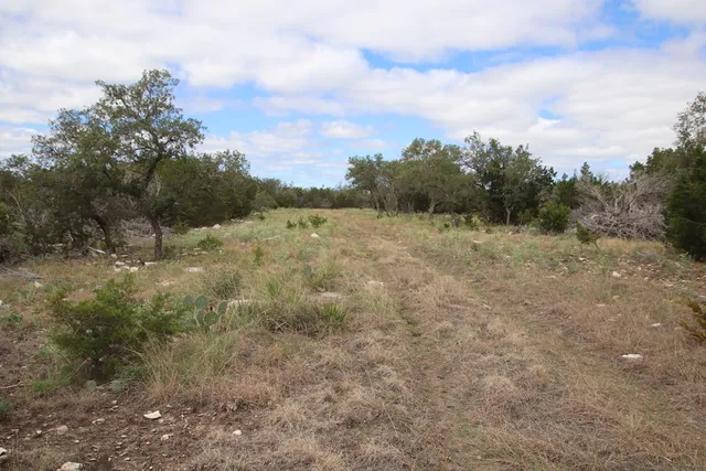 a view of a mountain range with trees in the background