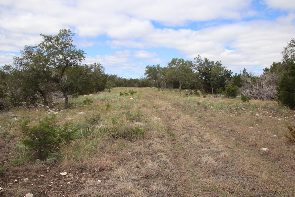 700 Hwy 377 Junction Junction, TX 76849 - Photo 42 of 71 a view of an outdoor space and a yard