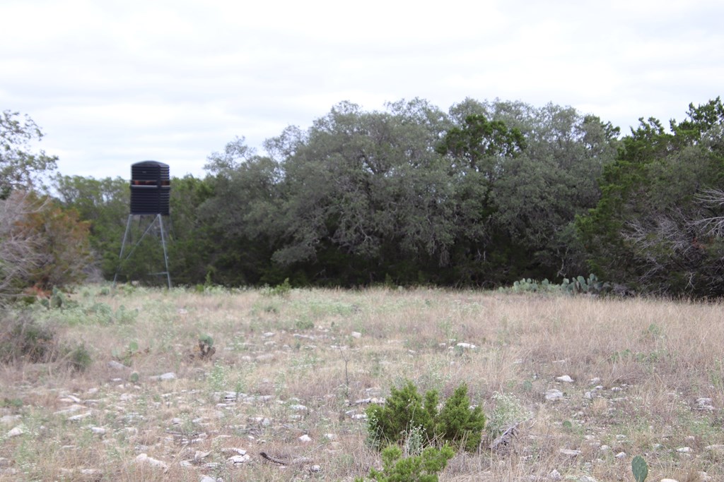 700 Hwy 377 Junction Junction, TX 76849 - Photo 44 of 71 a view of a dry yard with trees