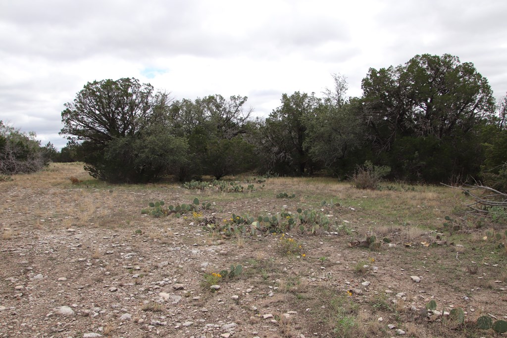 700 Hwy 377 Junction Junction, TX 76849 - Photo 46 of 71
