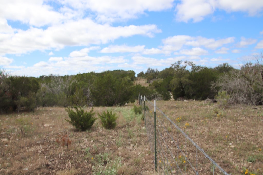 700 Hwy 377 Junction Junction, TX 76849 - Photo 47 of 71 a view of a dry yard with trees