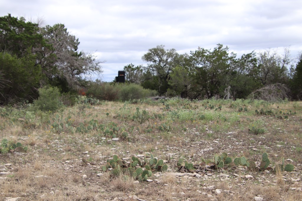 700 Hwy 377 Junction Junction, TX 76849 - Photo 48 of 71 a view of a field with trees in the background