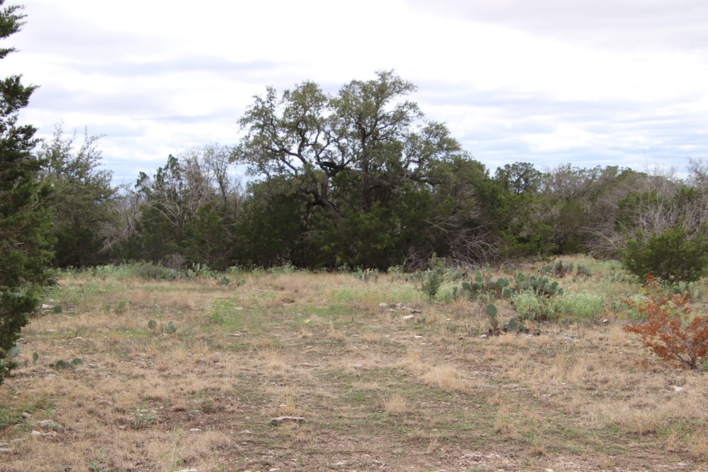 700 Hwy 377 Junction Junction, TX 76849 - Photo 49 of 71 a view of mountain view with trees