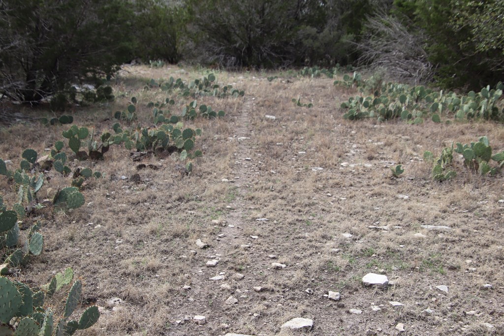700 Hwy 377 Junction Junction, TX 76849 - Photo 53 of 71 a view of a dry yard with trees