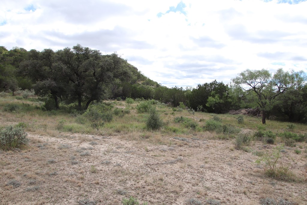 700 Hwy 377 Junction Junction, TX 76849 - Photo 60 of 71 a view of a forest with trees in the background