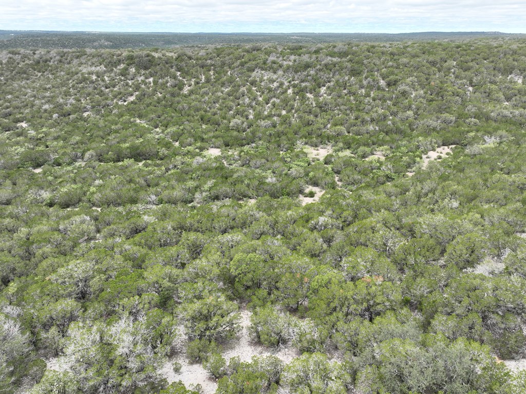700 Hwy 377 Junction Junction, TX 76849 - Photo 6 of 71 an aerial view of residential houses with outdoor space