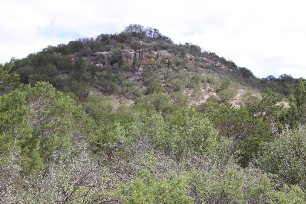 700 Hwy 377 Junction Junction, TX 76849 - Photo 61 of 71 a view of a mountain range with trees in the background