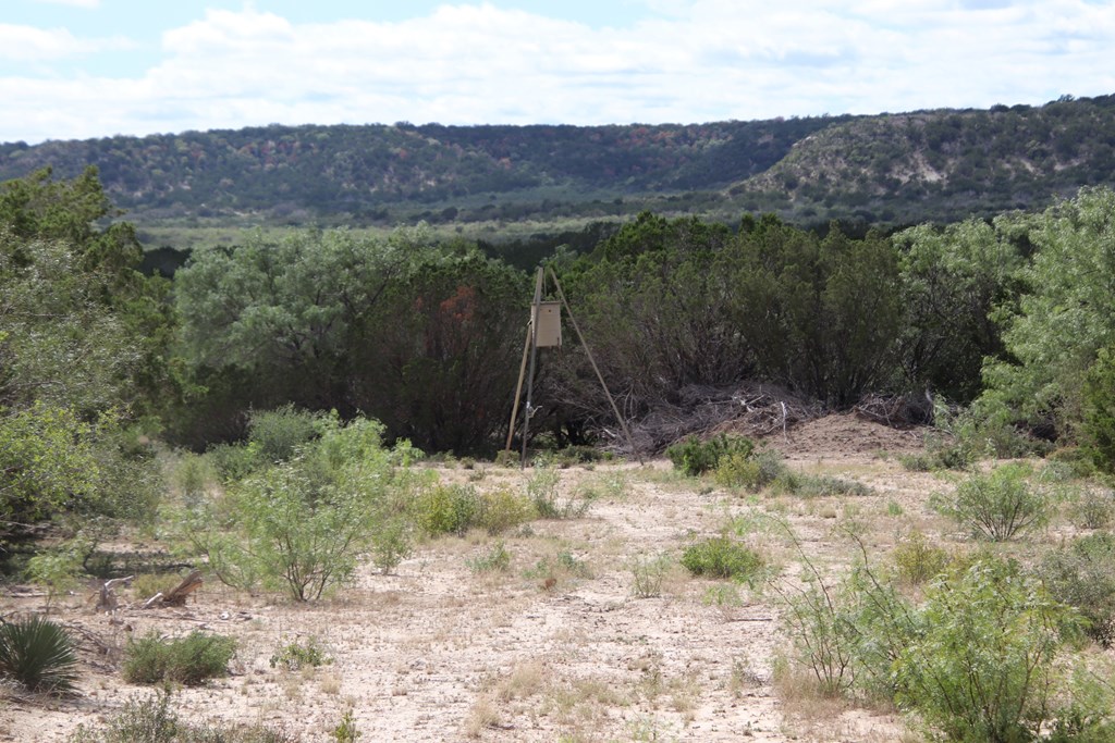 700 Hwy 377 Junction Junction, TX 76849 - Photo 62 of 71 a view of a back yard