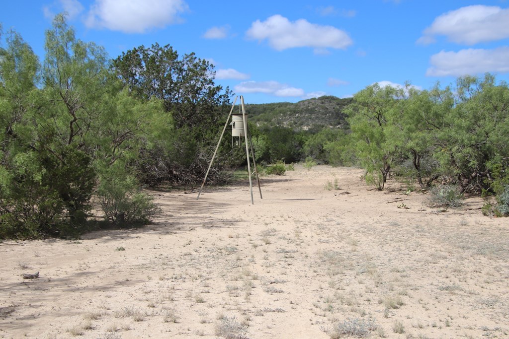 700 Hwy 377 Junction Junction, TX 76849 - Photo 63 of 71 a view of outdoor space with trees