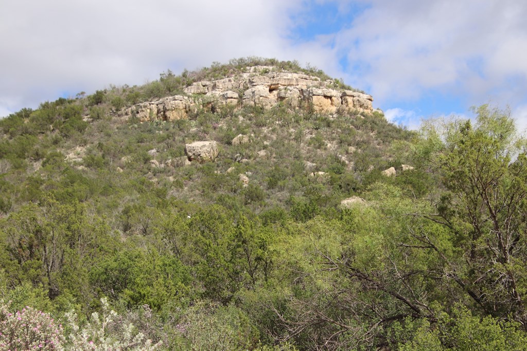 700 Hwy 377 Junction Junction, TX 76849 - Photo 66 of 71 a view of a big yard with lots of bushes