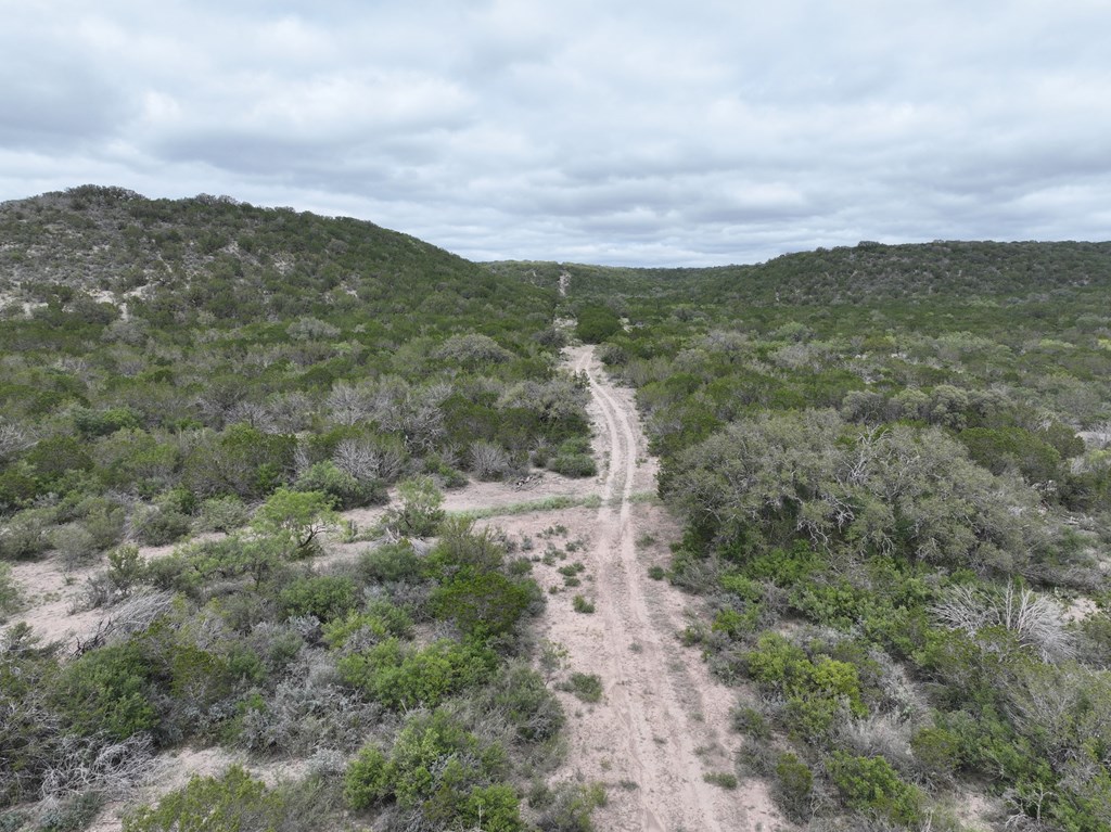 700 Hwy 377 Junction Junction, TX 76849 - Photo 68 of 71 a view of a large trees with mountains in the background