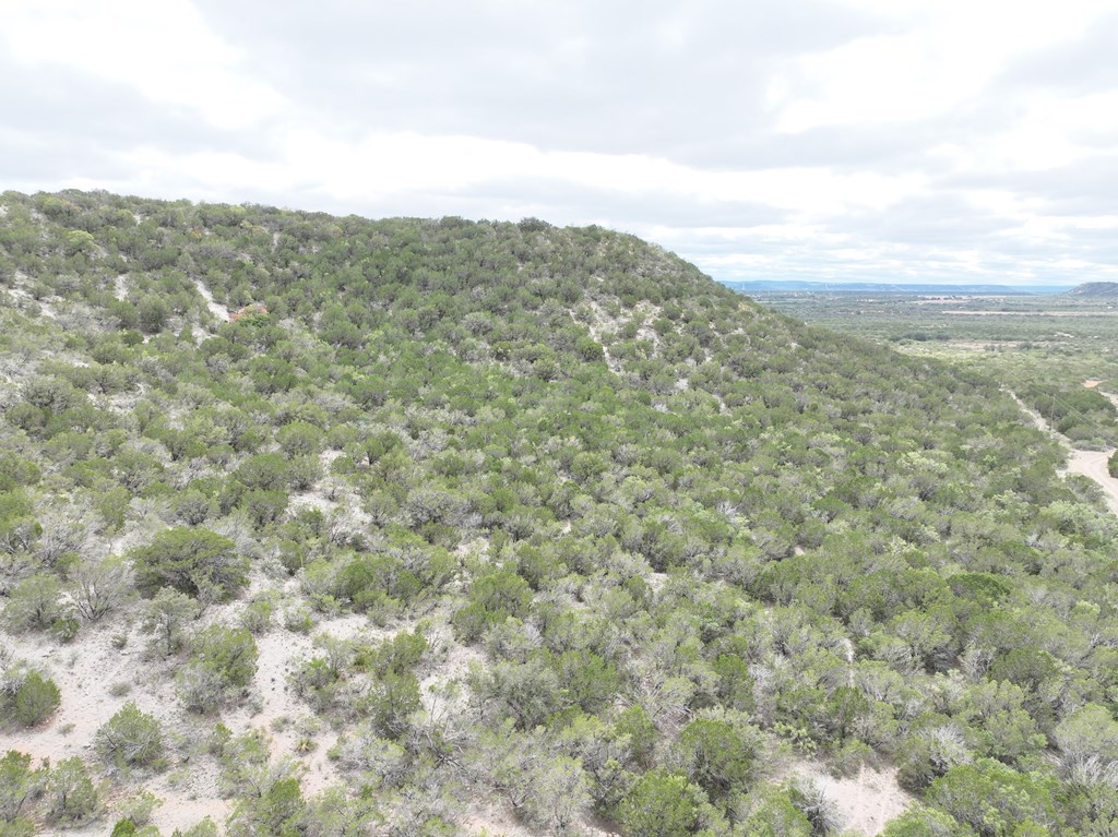 700 Hwy 377 Junction Junction, TX 76849 - Photo 10 of 71 a view of a field
