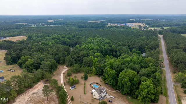 an aerial view of green landscape with trees houses and mountain view