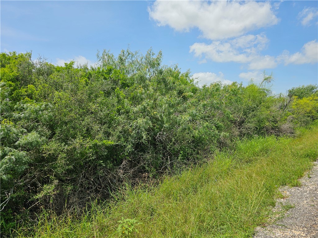 1110 2nd Street Bayside, TX 78340 - Photo 5 of 6 ready to build