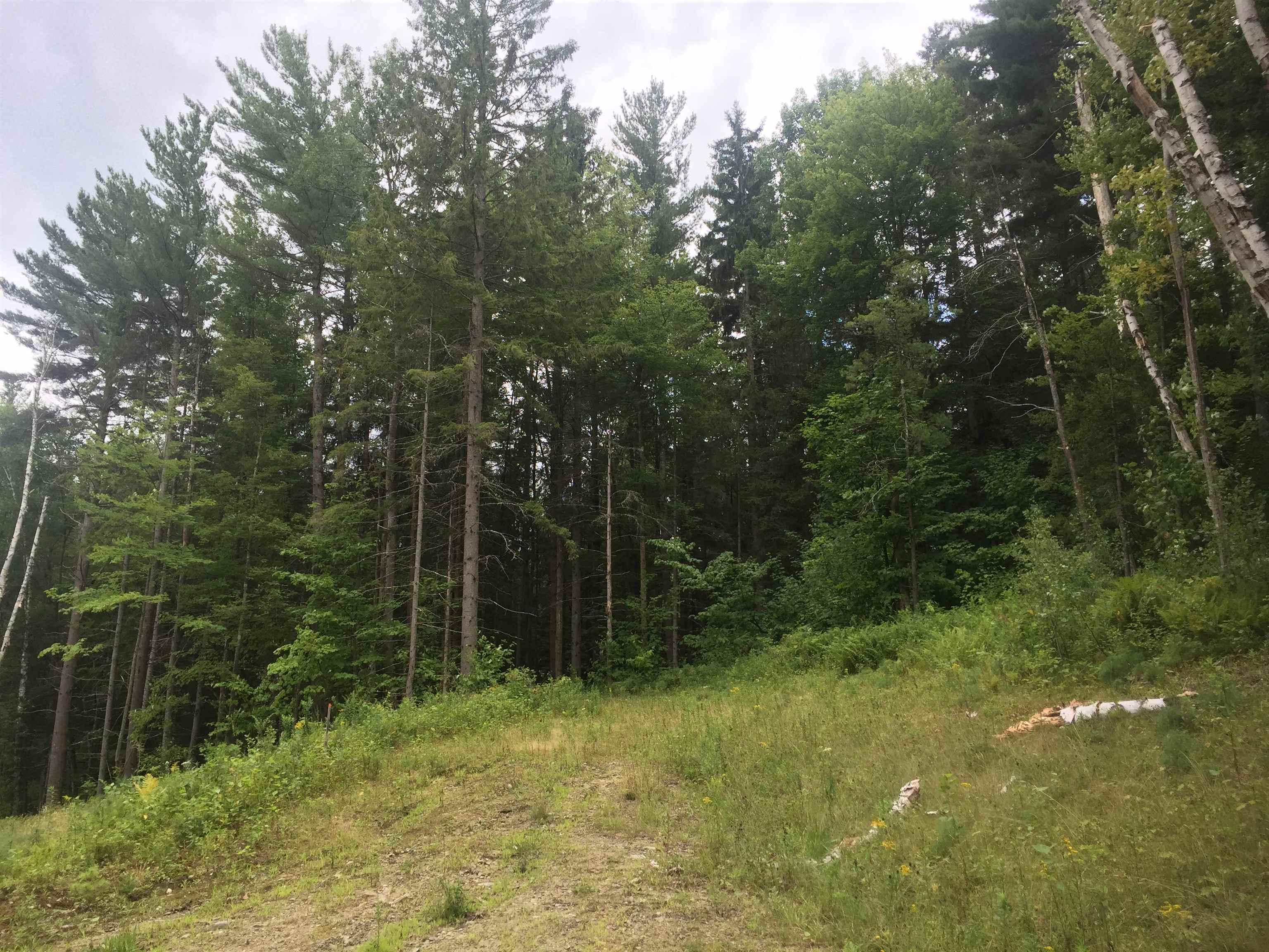 0 Leland Farm Road, Unit LOT C Middlesex, VT 05602 - Photo 1 of 6