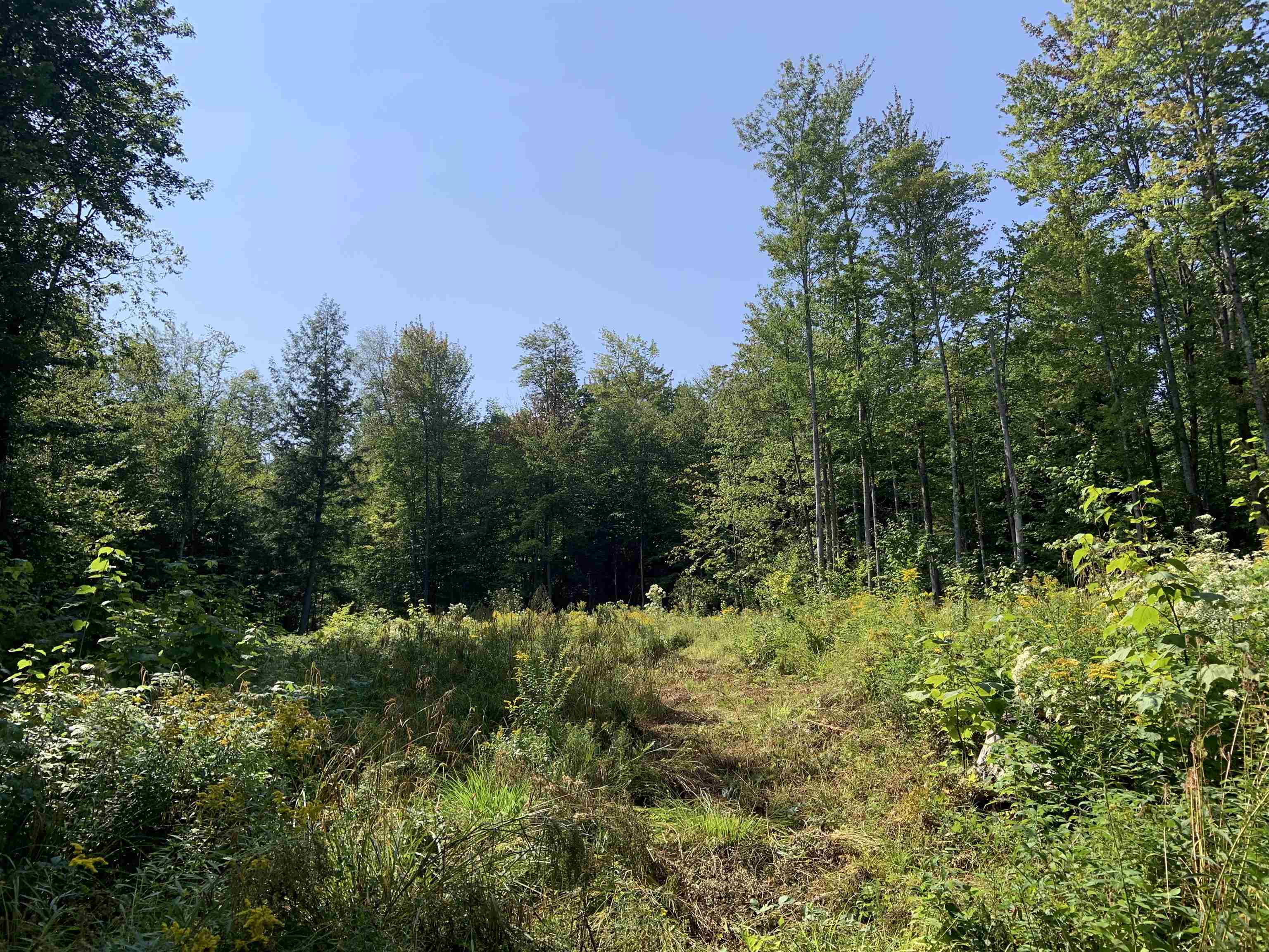 0 Leland Farm Road, Unit LOT C Middlesex, VT 05602 - Photo 2 of 6