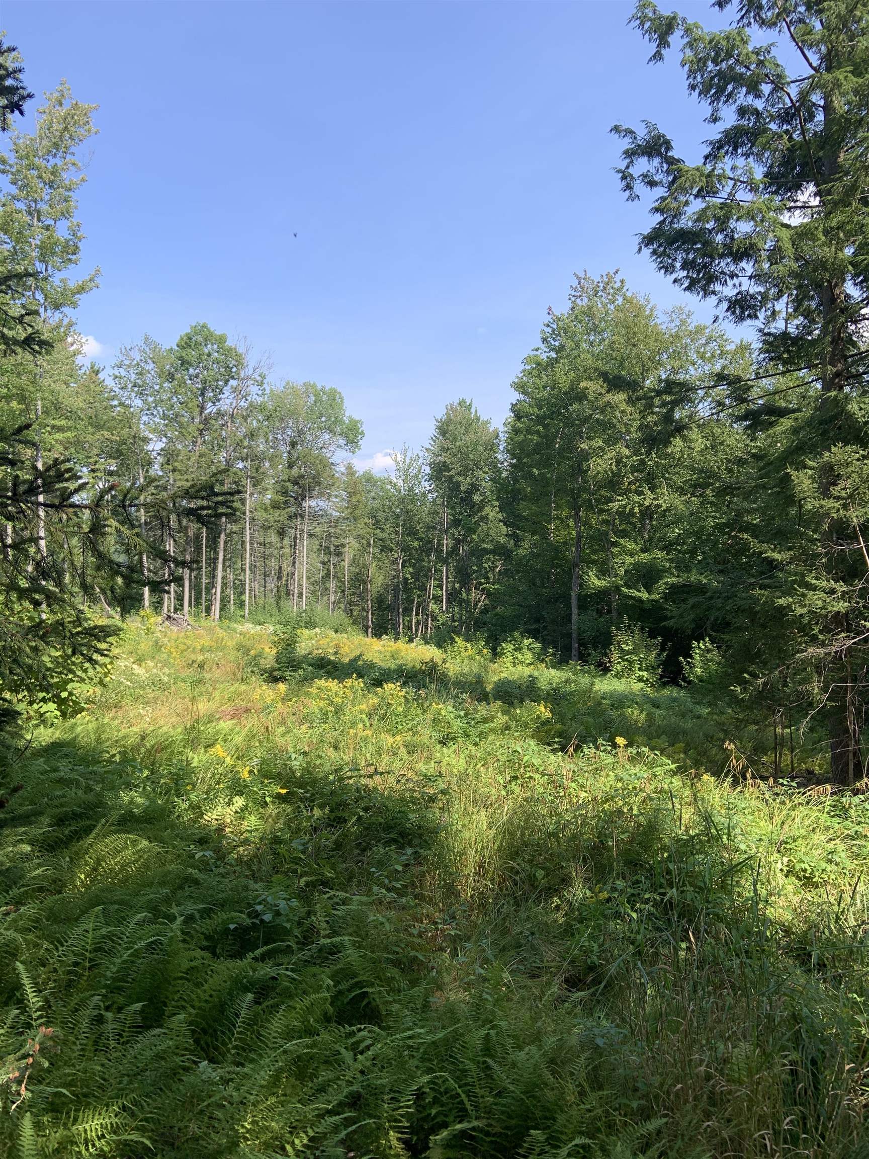 0 Leland Farm Road, Unit LOT C Middlesex, VT 05602 - Photo 3 of 6