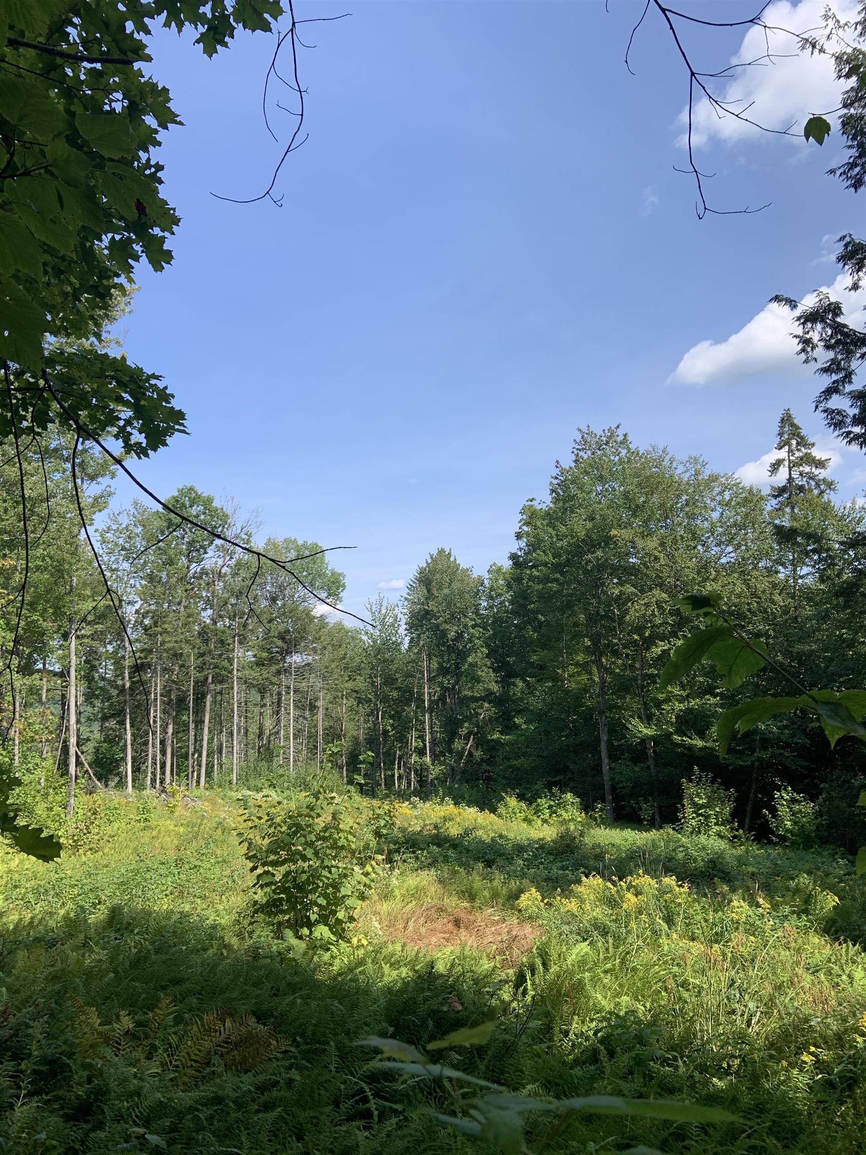 0 Leland Farm Road, Unit LOT C Middlesex, VT 05602 - Photo 4 of 6