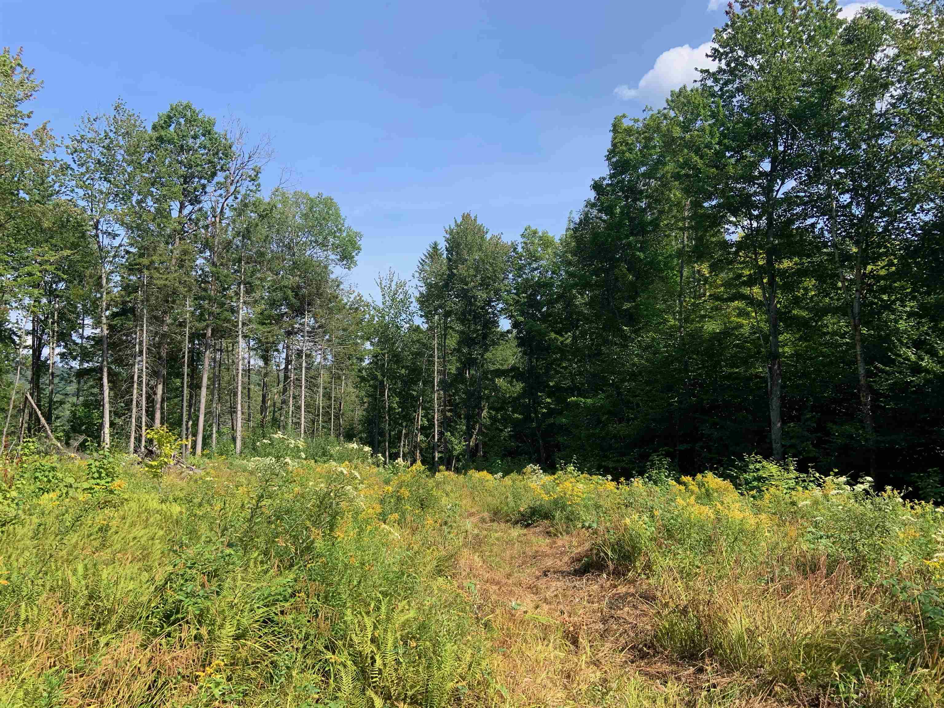 0 Leland Farm Road, Unit LOT C Middlesex, VT 05602 - Photo 5 of 6