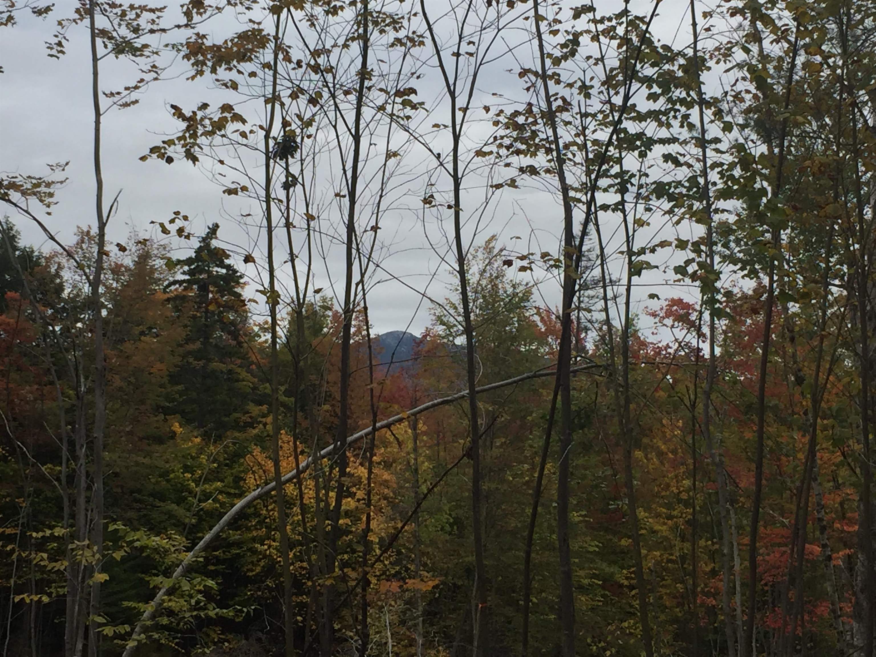 0 Leland Farm Road, Unit LOT C Middlesex, VT 05602 - Photo 6 of 6