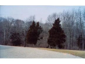 3666 Russell Road Bloomington, IN 47408 - Photo 7 of 12 Gallery Image 7