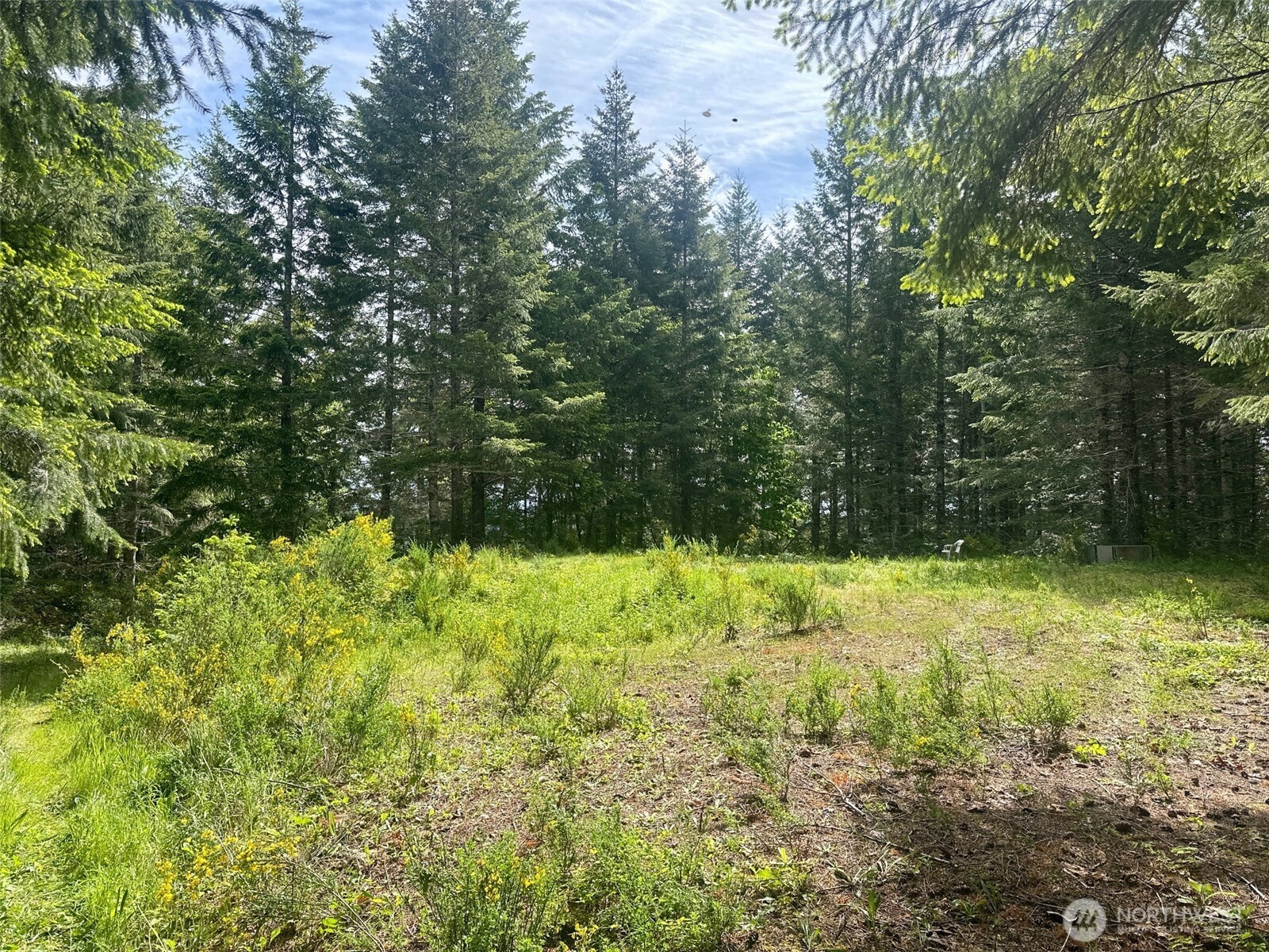150 North Sunnyside Road Shelton, WA 98584 - Photo 12 of 22